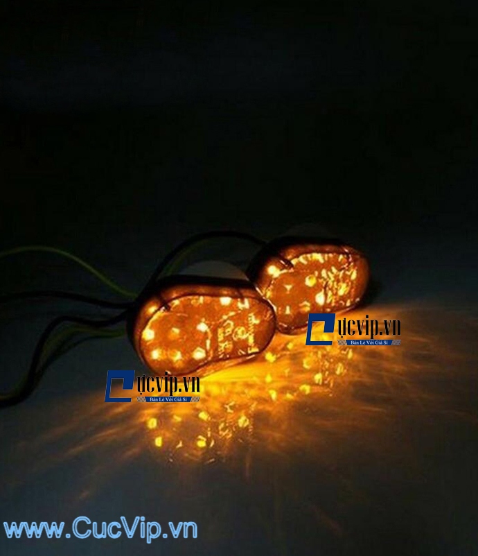 Xi Nhan Độ Winner X Led Kim Cương MS1721