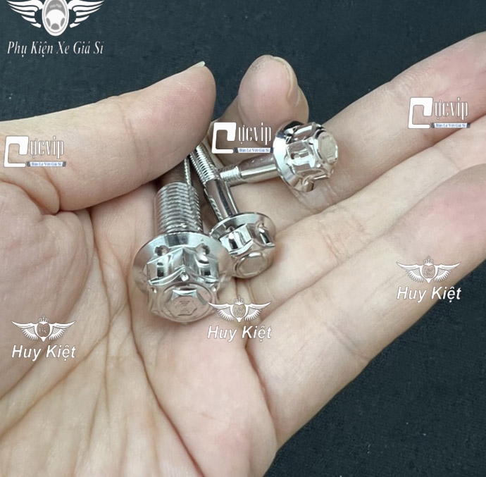 VM Bộ 3 Ốc Tay Thắng Salaya Inox 304 (M3) (Thái) Gắn Vario 2015 - 2021 MS6366