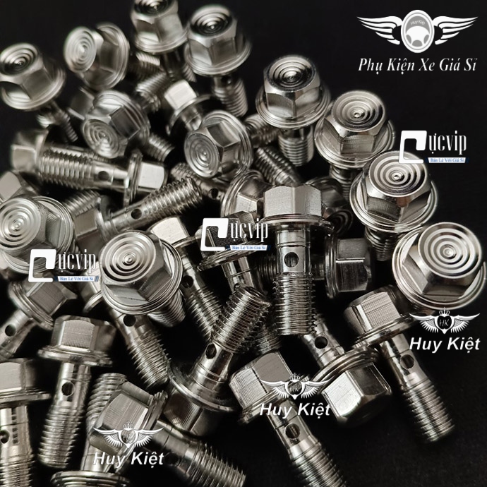 VM Ốc Heo Dầu Salaya Inox 304 (M3) (Thái) Bắt Heo Dầu Zin, Nissin Và Heo dầu Bembo, Adelin, Frando (10Li23) MS6599