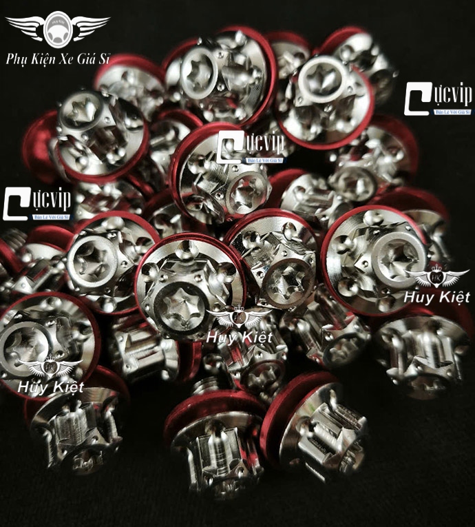 Ốc Chân Kính (Gương) Salaya Bông D3 Inox 304 (Tặng Lông Đền Đỏ) Gắn Wave, Dr, Fu, AB, Vario, PCX, Vision, SH, SH Mode, Lead, Sonic, Win, Ex, Si, NVX, Yaz (Giá 1 Ốc) MS6625