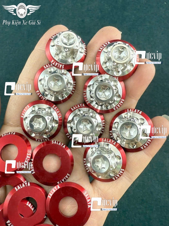 Ốc Chân Kính (Gương) Bông D3 Inox 304 [Tặng Lông Đền Chữ SALAYA] Gắn Wave, Dr, Cub, Fu, AB, Vario, PCX, Vision, SH, SH Mode, Lead, Sonic, Win, Ex, Si, NVX, Yaz (Giá 1 Ốc) MS6785