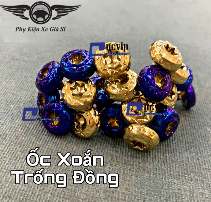 Combo 4 Ốc Xoắn Trống Đồng 5Ly Xi Titan, Vàng MS2767