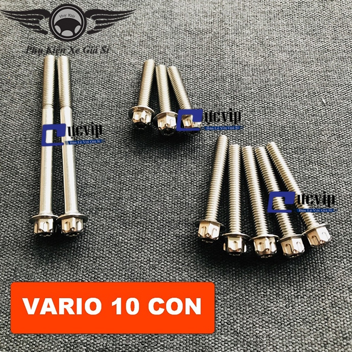 Bộ Ốc Máy Salaya Vario MS2781