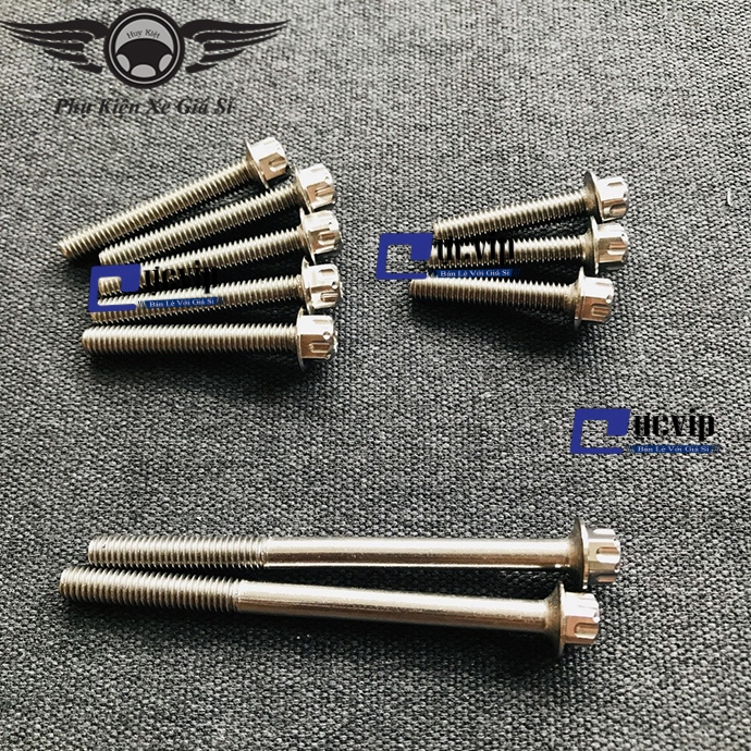 Bộ Ốc Máy Salaya Vario MS2781
