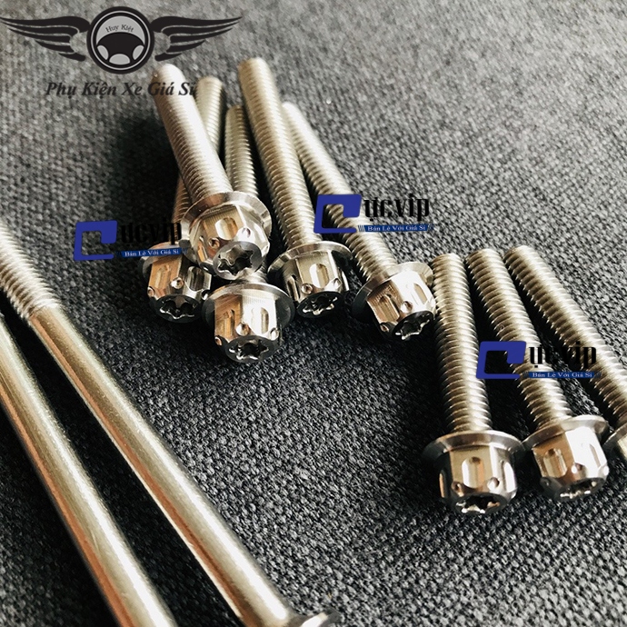 Bộ Ốc Máy Salaya Vario MS2781