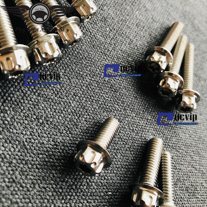 Bộ Ốc Máy Salaya Vario MS2781