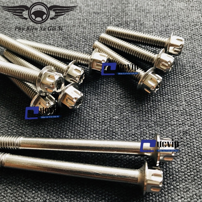 Bộ Ốc Máy Salaya Exciter 135 (2006 - 2010) MS2782 Bộ Ốc Máy Salaya Exciter 135 (2006 - 2010) MS2782