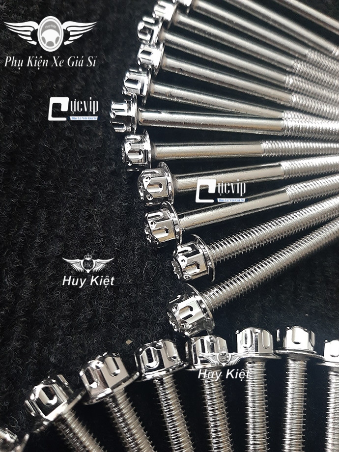Bộ Ốc Máy Wave, Dream Salaya Inox 100% MS3864