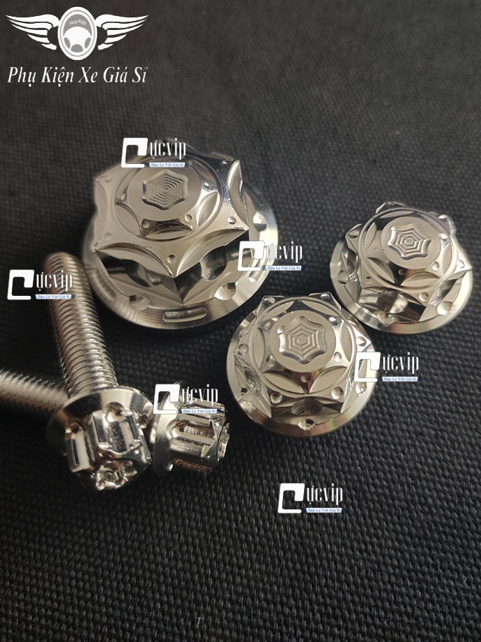 Combo 5 Ốc Chảng Ba Raider Fi, Satria Kiểu Salay Inox 304 MS4736