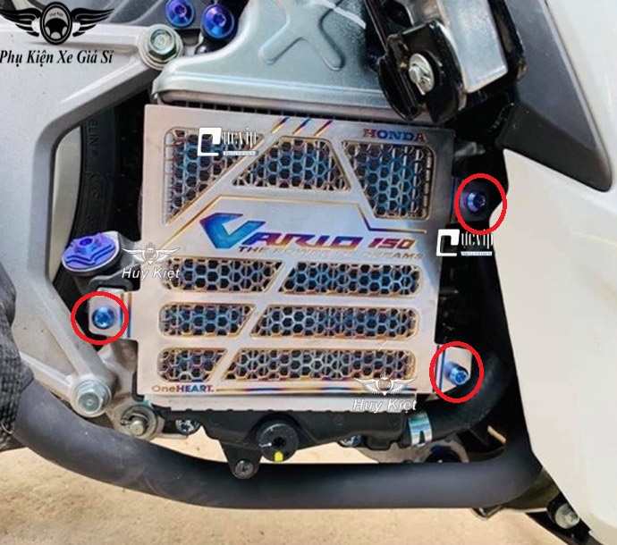 Combo 3 Ốc Titan Thật GR5 Gắn Che Két Nước Xe Vario 2015 - 2021, Airblade AB 2016 - 2022, SH 2012 - 2019, SH Mode 2013 - 2019 MS4761