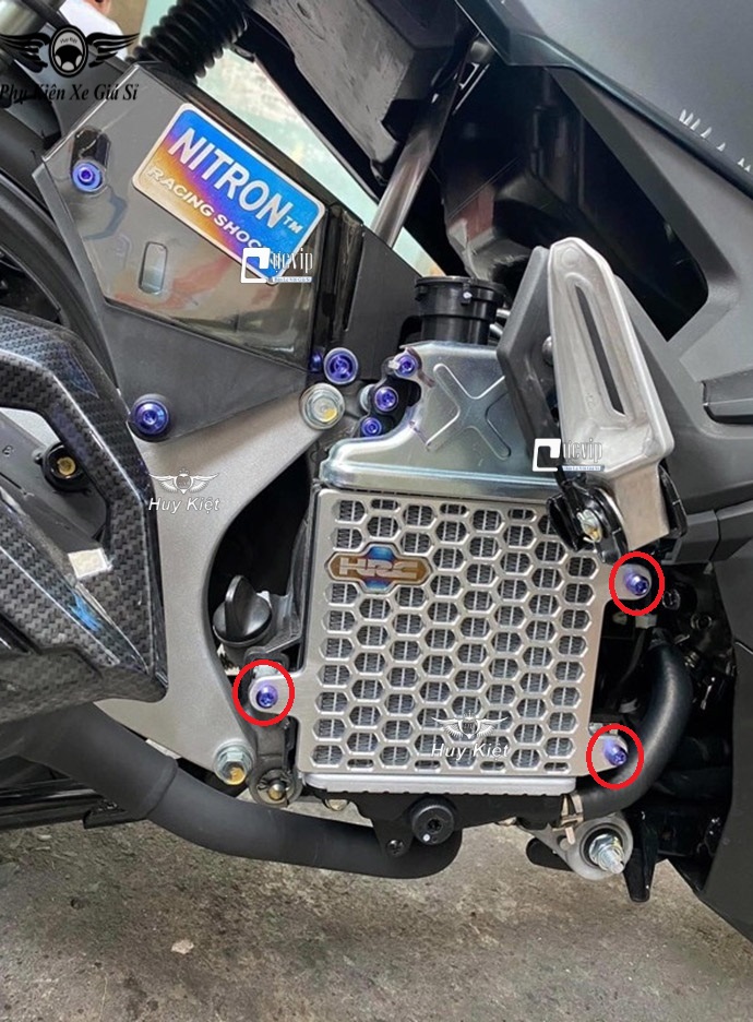 Combo 3 Ốc Titan Thật GR5 Gắn Che Két Nước Xe Vario 2015 - 2021, Airblade AB 2016 - 2022, SH 2012 - 2019, SH Mode 2013 - 2019 MS4761