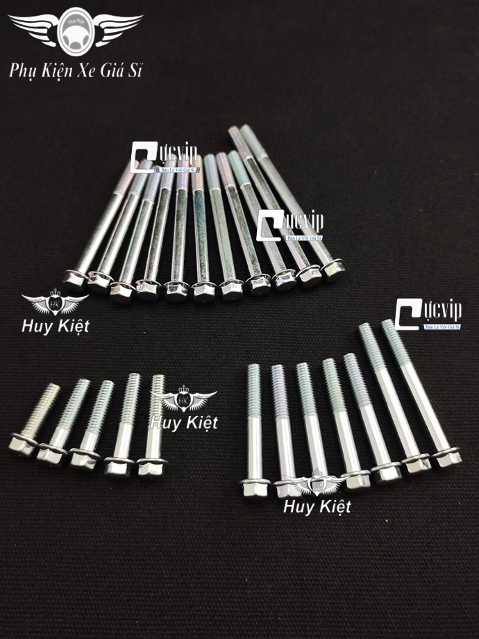 Bộ Ốc Lốc Máy Dream, Wave Hàng Đặc Biệt Cao Cấp MS4834