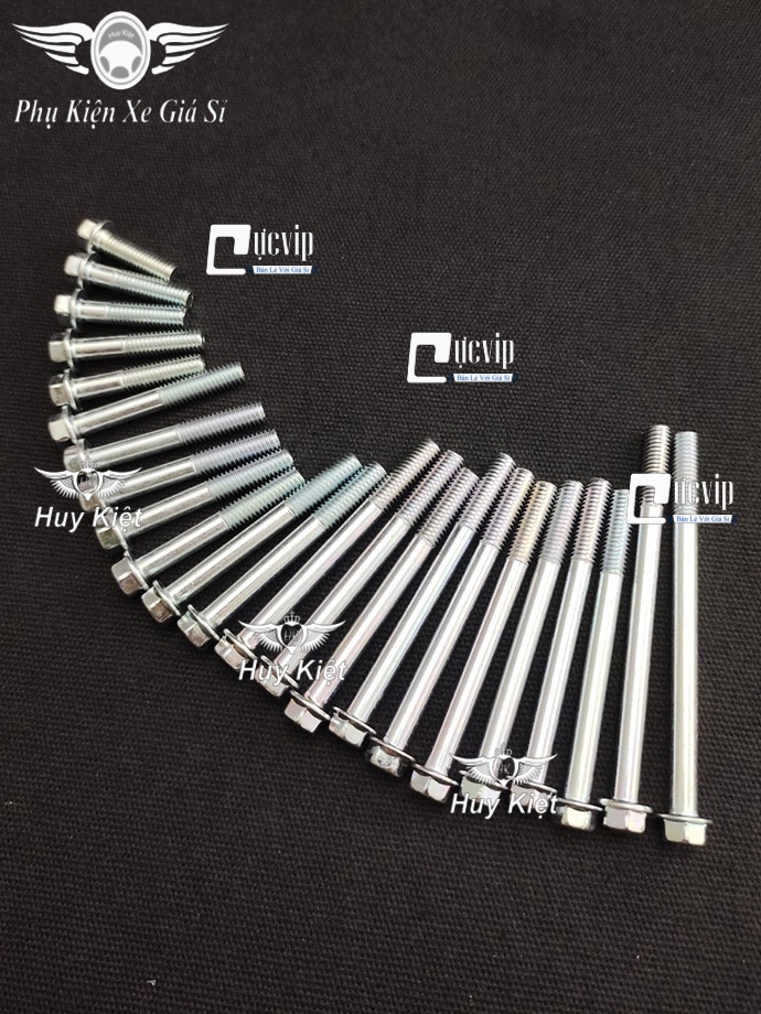 Bộ Ốc Lốc Máy Dream, Wave Hàng Đặc Biệt Cao Cấp MS4834