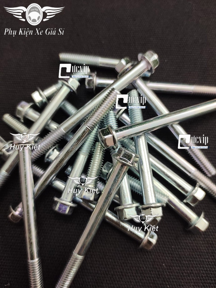 Bộ Ốc Lốc Máy Dream, Wave Hàng Đặc Biệt Cao Cấp MS4834