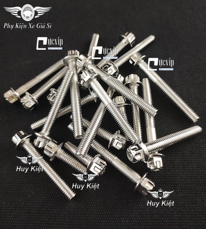 Bộ Ốc Lốc Máy Salaya Inox 304 Cho Vision 2011 - 2022 (14 Con) MS4904