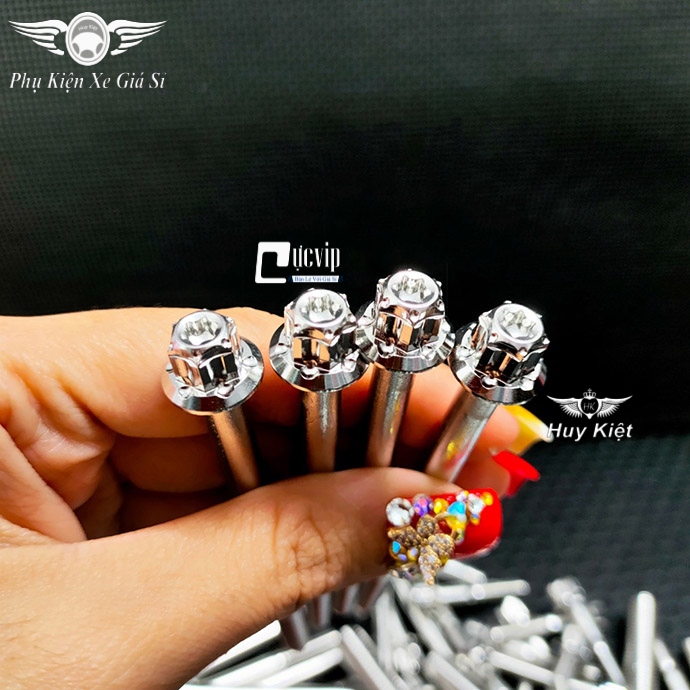 Combo 2 Ốc Salaya Inox 304 6Li3 Gắn Gù Bao Tay, Gù Tay Lái, Lóc Máy Mọi Loại Xe MS4911