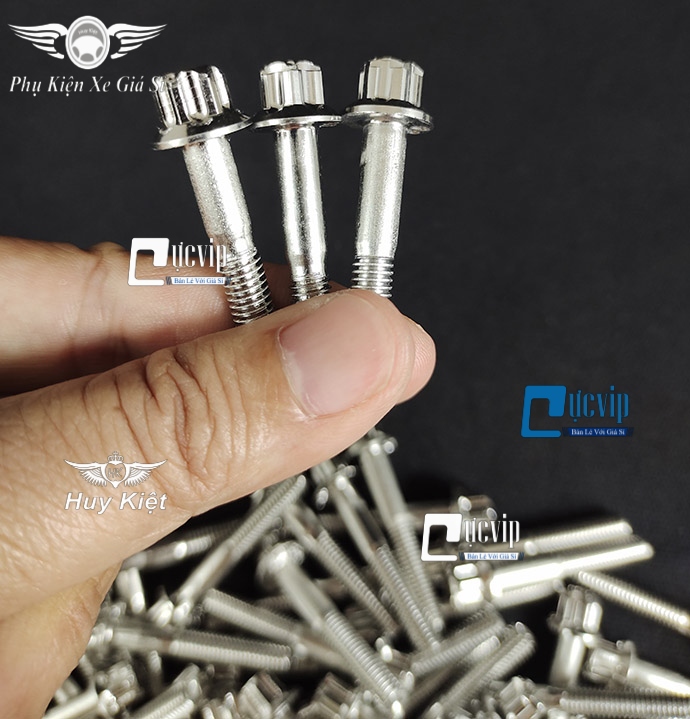 Combo 2 Ốc Salaya Inox 304 6Li3 Gắn Gù Bao Tay, Gù Tay Lái, Lóc Máy Mọi Loại Xe MS4911