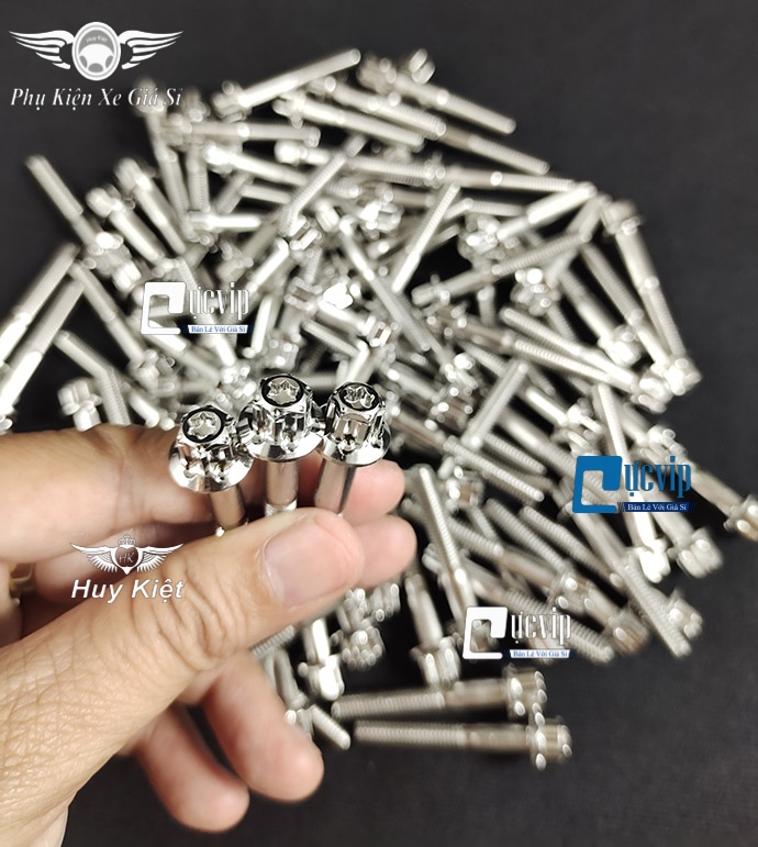 Combo 2 Ốc Salaya Inox 304 6Li3 Gắn Gù Bao Tay, Gù Tay Lái, Lóc Máy Mọi Loại Xe MS4911