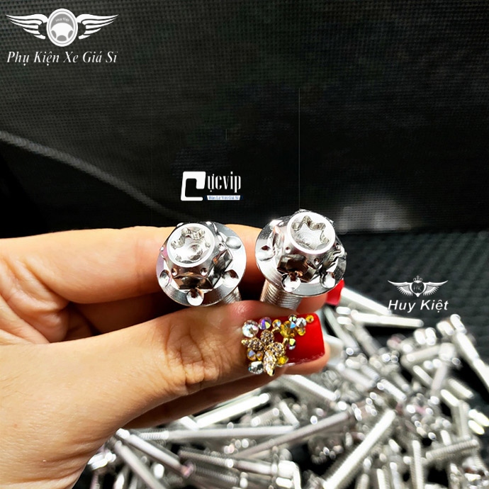 Combo 2 Ốc Salaya Inox 304 6Li15 Gắn Ốp Pô, Bảng Tên Mọi Loại Xe MS4913