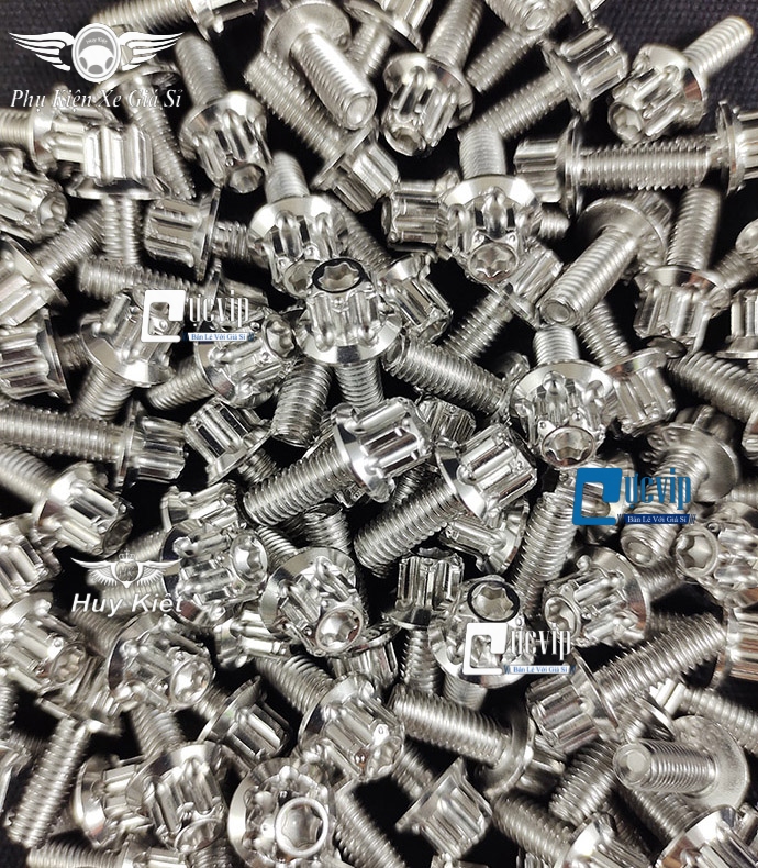 Combo 2 Ốc Salaya Inox 304 6Li15 Gắn Ốp Pô, Bảng Tên Mọi Loại Xe MS4913