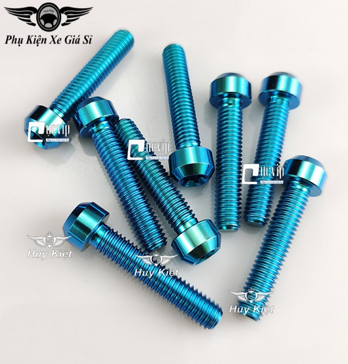 Ốc Titan GR5 6Li3 Đầu Trụ Gắn Gù Bao Tay, Gù Tay Lái, Lóc Máy Mọi Loại Xe MS5029