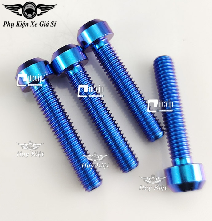 Ốc Titan GR5 6Li3 Đầu Trụ Gắn Gù Bao Tay, Gù Tay Lái, Lóc Máy Mọi Loại Xe MS5029