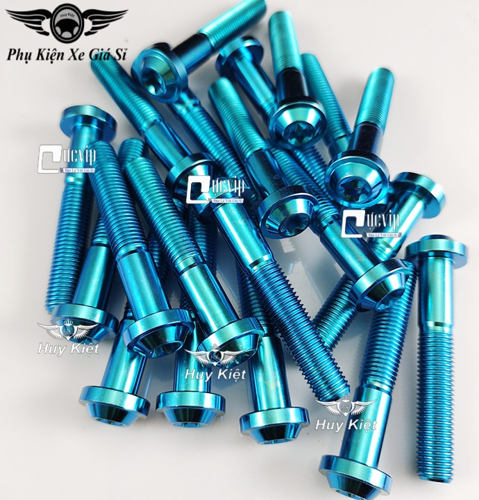 Ốc Titan GR5 10Li6 Gắn Pat Treo Pô Các Dòng Xe Tay Ga Vario, AirBlade, Vision, SH, SH Mode, PCX, Lead, NVX, Click MS5042