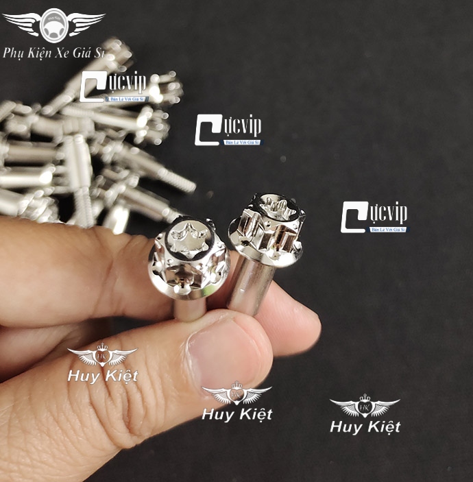 	Ốc Tay Thắng Zin Salaya Inox 304 Gắn Wave, Dream, Future, Sirius, Raider, Satria, Exciter 135, Exciter 150, Winner, Winner X V2, V3 (1 Con) MS5067